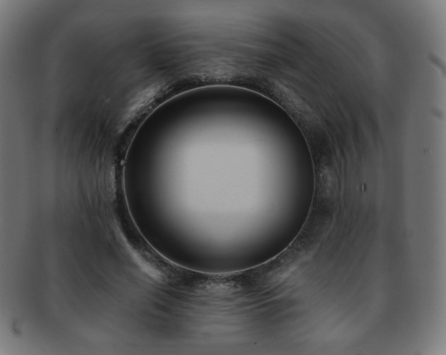 X0000091880638200709051324