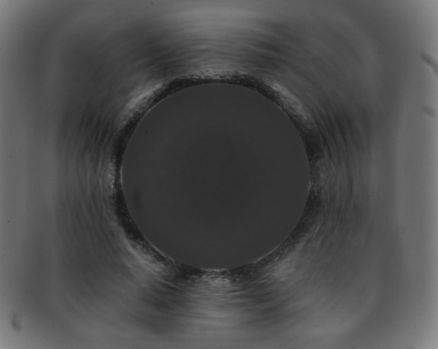 X0000091880640200709051324