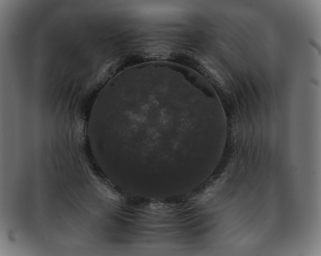 X0000091880641200709051324
