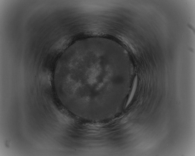 X0000091880643200709051324