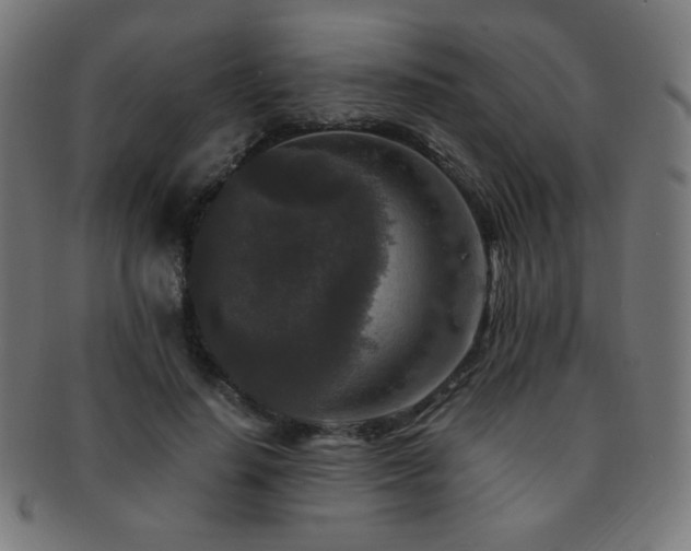 X0000091880644200709051324