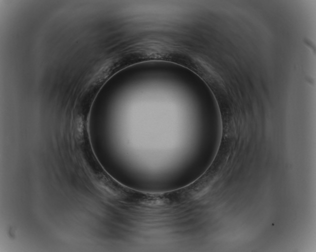 X0000091880646200709051324