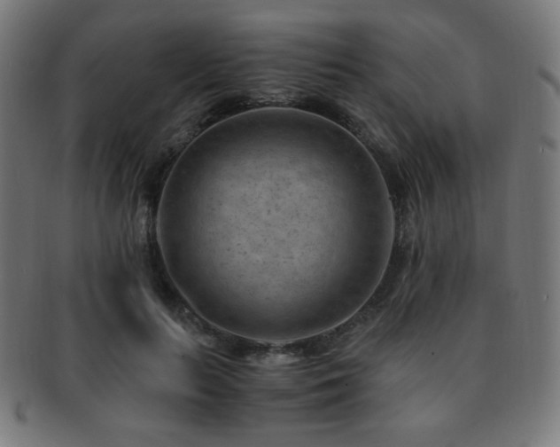 X0000091880647200709051324