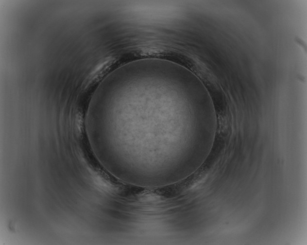 X0000091880648200709051324