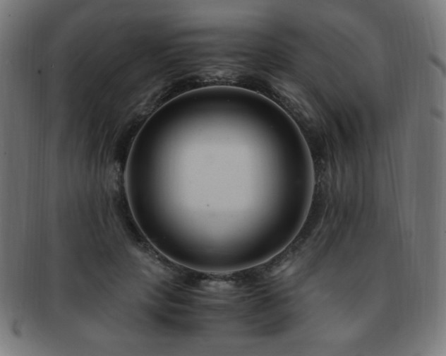 X0000091880649200709051324