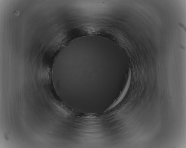 X0000091880650200709051324