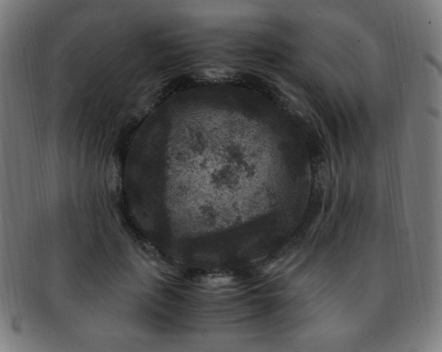 X0000091880651200709051324