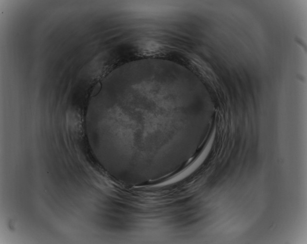 X0000091880653200709051324