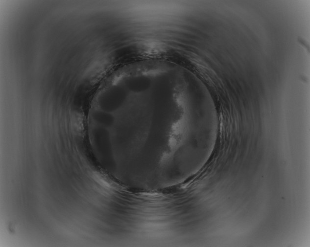 X0000091880654200709051324
