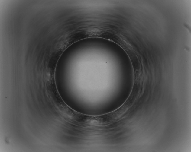 X0000091880655200709051325