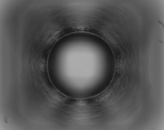 X0000091880656200709051325