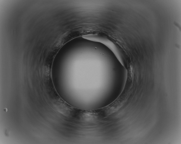X0000091880657200709051325