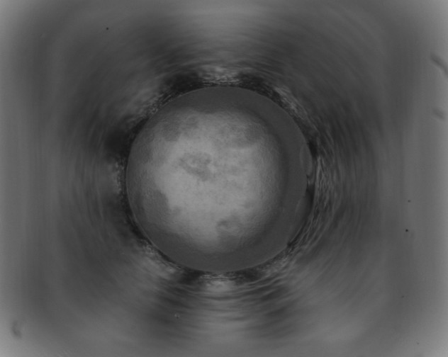 X0000091880658200709051325
