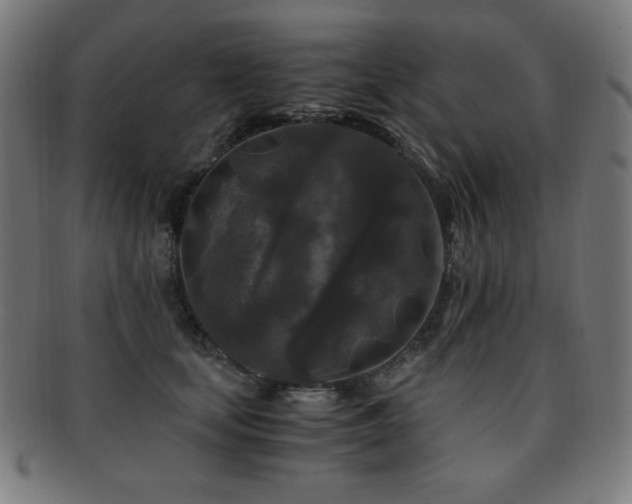 X0000091880659200709051325