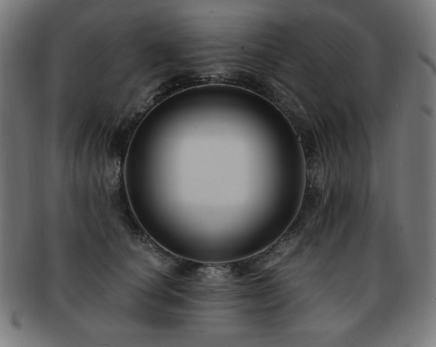 X0000091880660200709051325