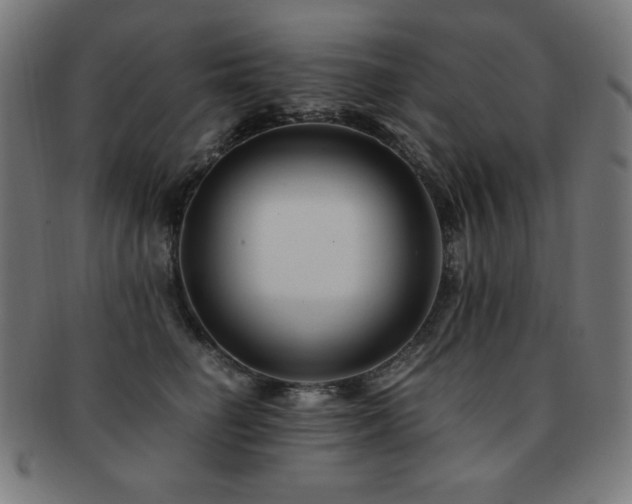 X0000091880662200709051325