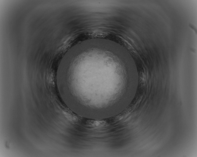 X0000091880663200709051325