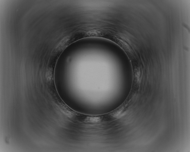 X0000091880665200709051325