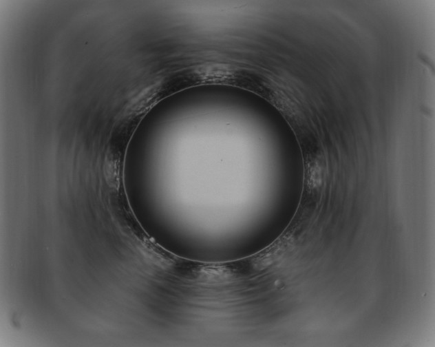 X0000091880666200709051325