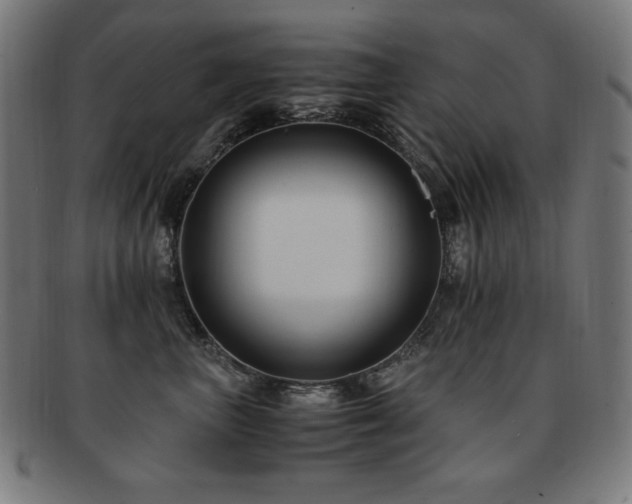 X0000091880667200709051325