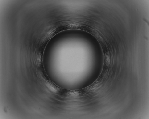 X0000091880668200709051325