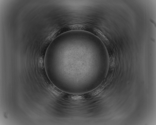 X0000091880669200709051325