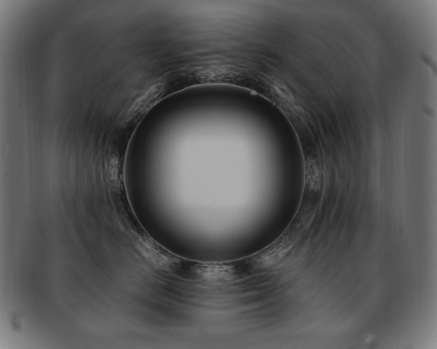 X0000091880670200709051325