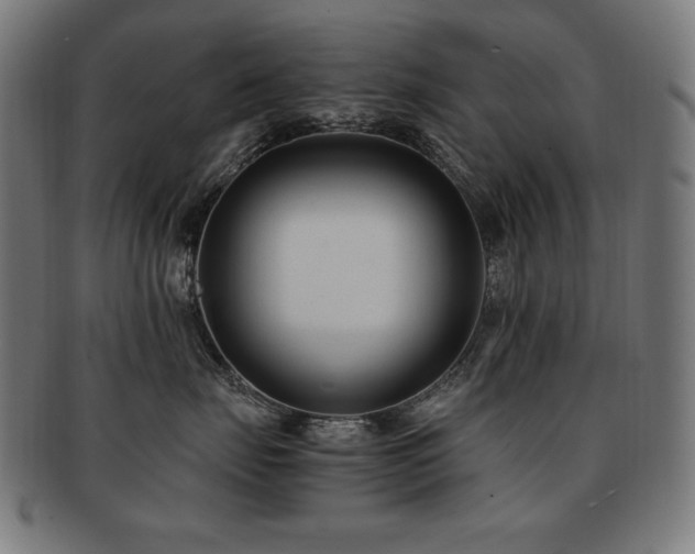 X0000091880671200709051325