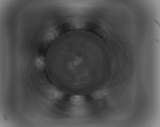 X0000091880672200709051325