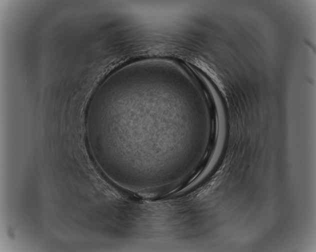 X0000091880673200709051324