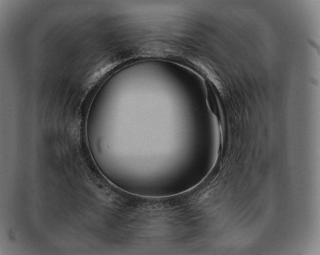 X0000091880675200709051324