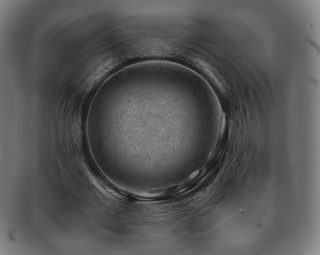 X0000091880677200709051324