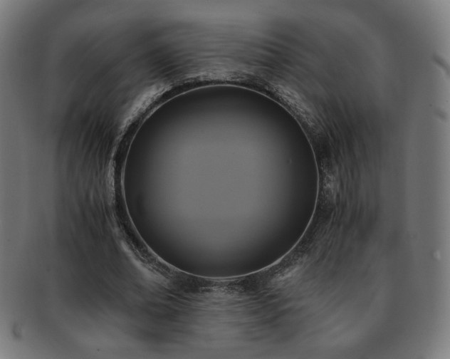 X0000091880678200709051324