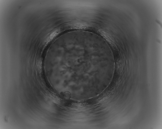 X0000091880679200709051324