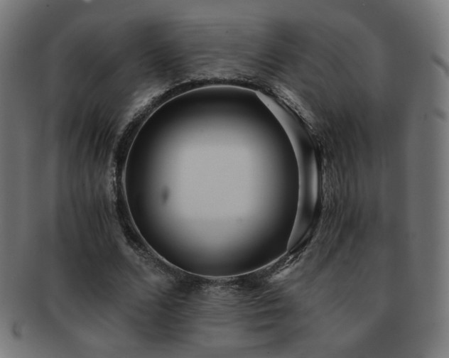 X0000091880680200709051324