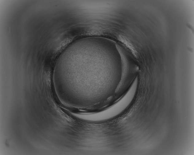 X0000091880681200709051324