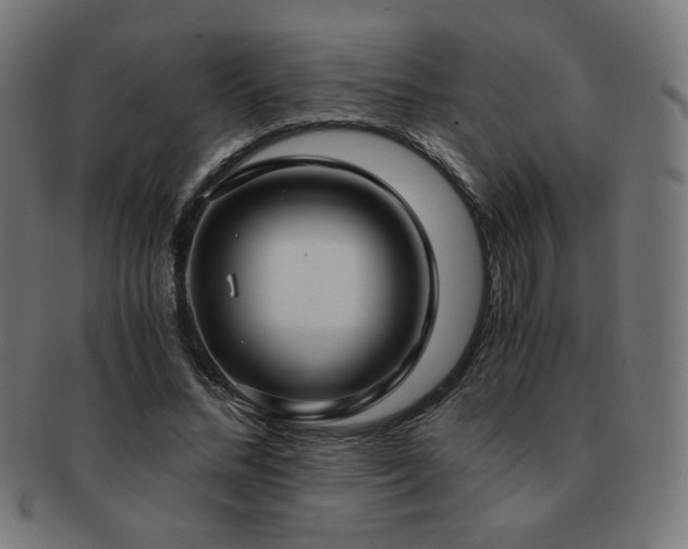 X0000091880684200709051324