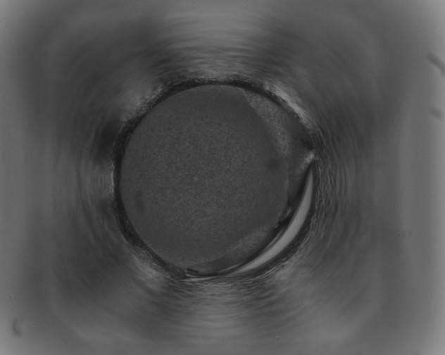 X0000091880685200709051324