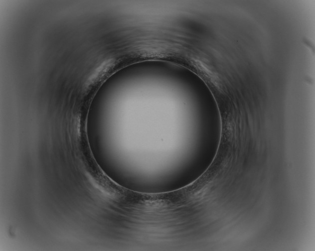 X0000091880686200709051324