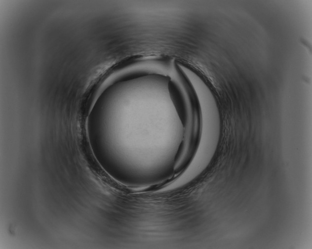 X0000091880688200709051324