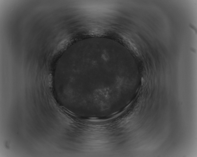 X0000091880689200709051324