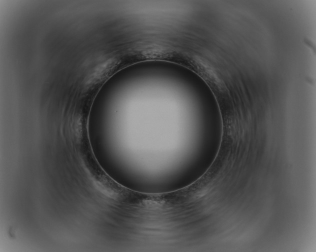 X0000091880690200709051324