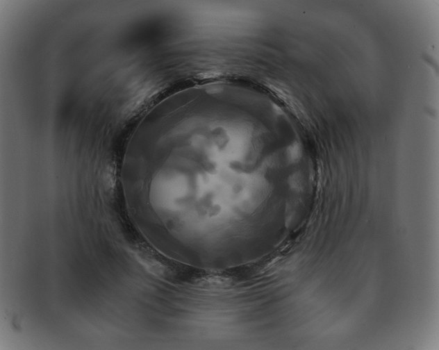 X0000091880691200709051324