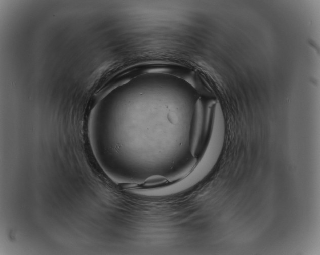 X0000091880693200709051324