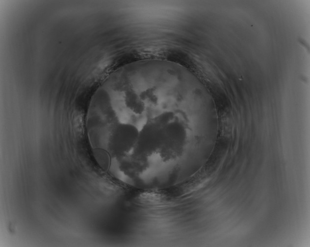 X0000091880699200709051324