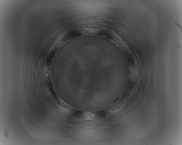 X0000091880701200709051324
