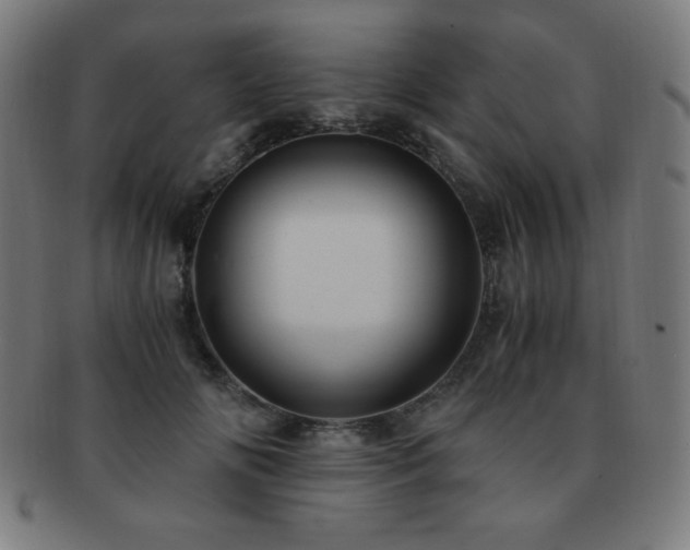 X0000091880702200709051324