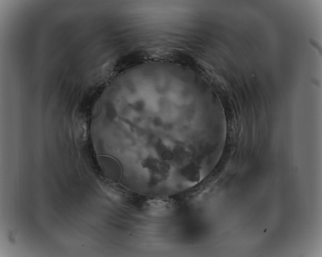 X0000091880703200709051324