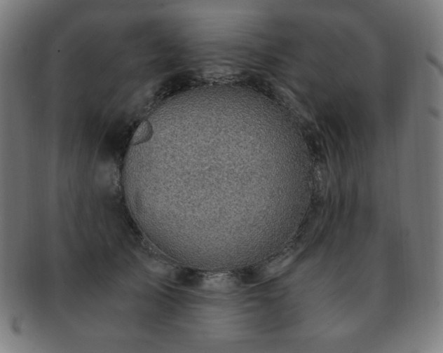 X0000091880705200709051324