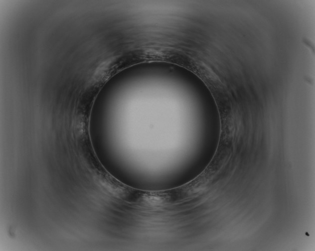 X0000091880706200709051324